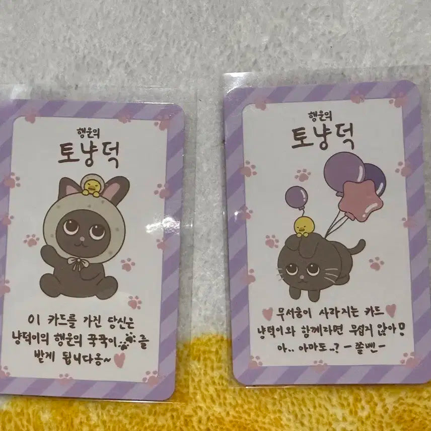 라이즈 원빈 팝업 럭키카드 2장 일괄