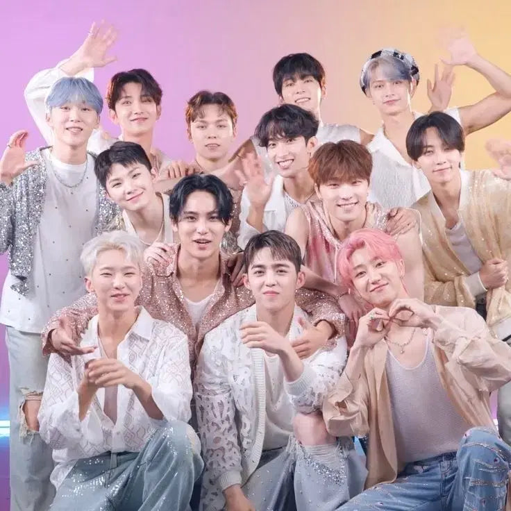 세븐틴 굿즈 처분