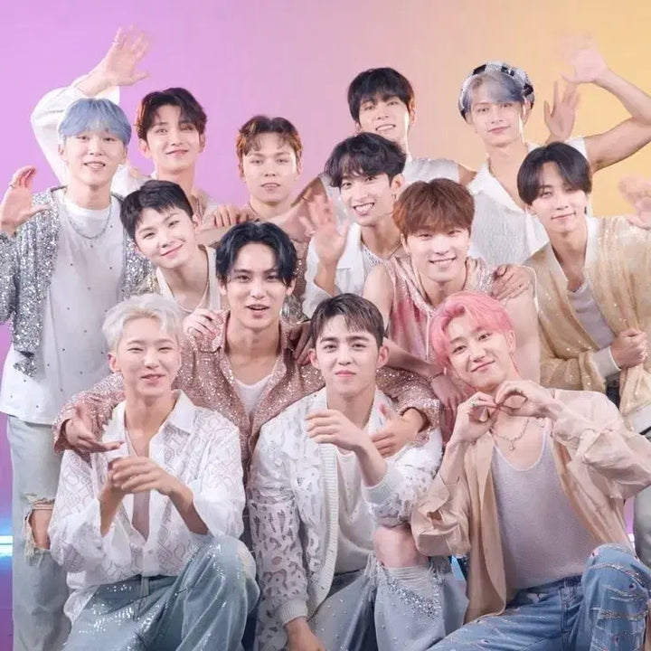 세븐틴 굿즈 처분