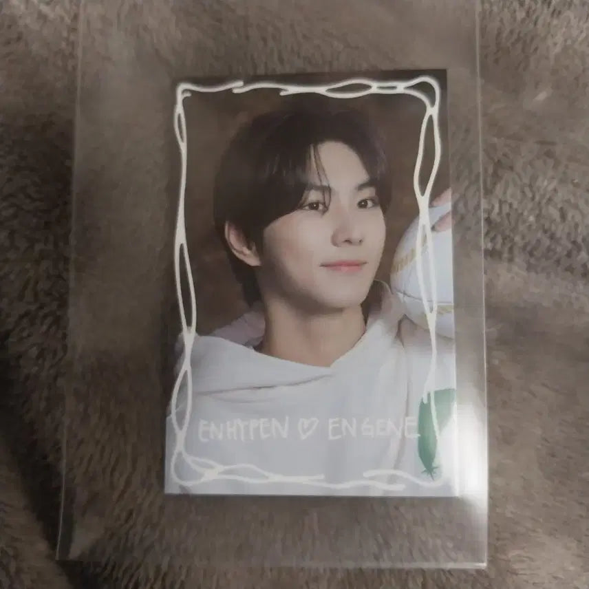 엔하이픈 고양 dvd 정원 메시지 카드 enhypen 메세지 카드