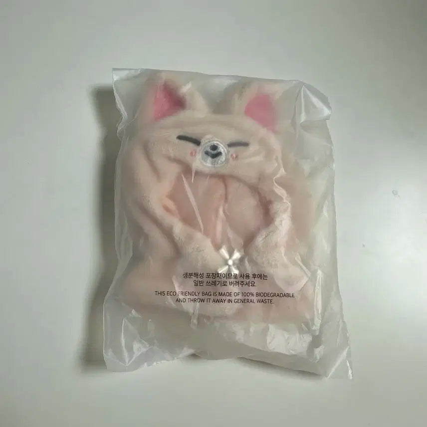 아이엔 폭시니 아웃핏 스키주