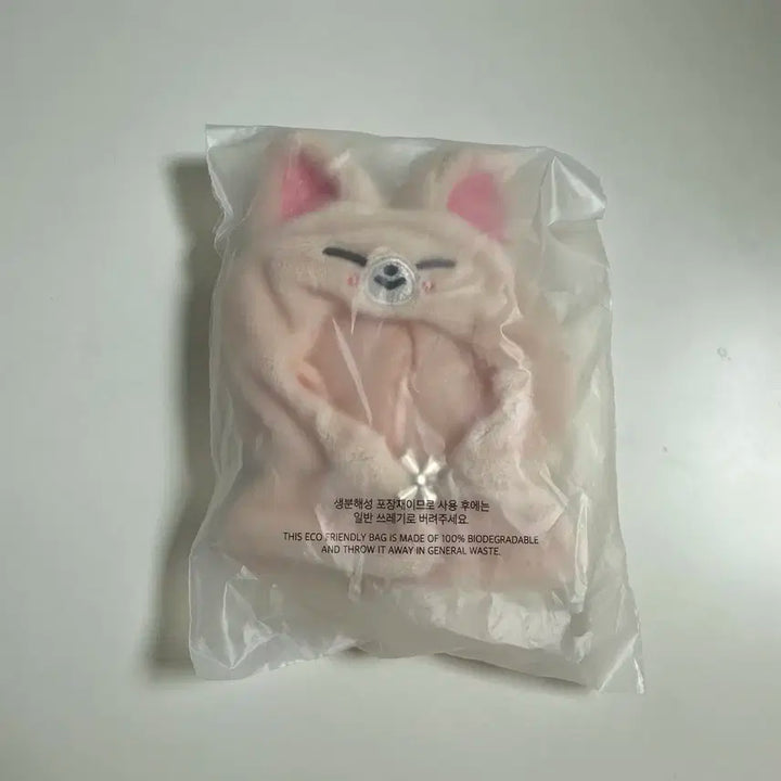 아이엔 폭시니 아웃핏 스키주