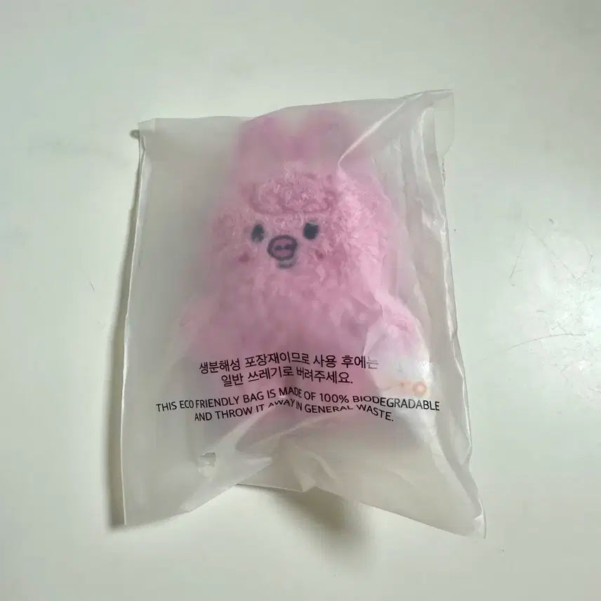 창빈 돼끼 마이크로 키링 스키주
