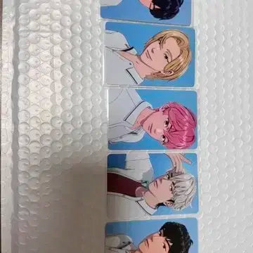 플레이브 아돌라 포카세트