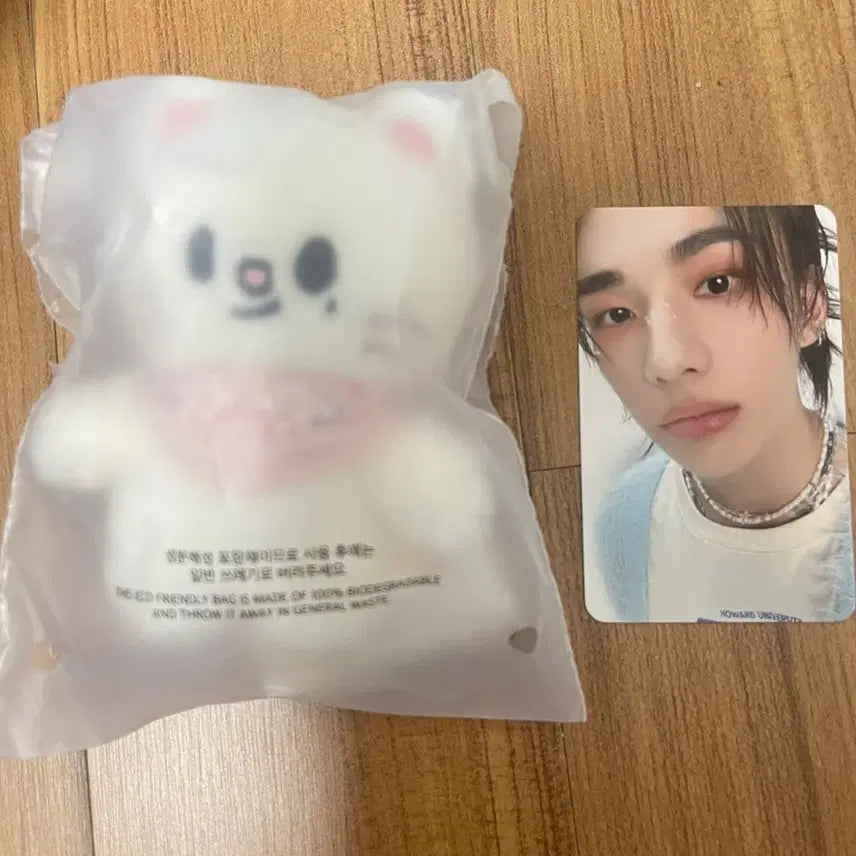 스키즈 콩키주 스키주 10cm 지니렛 현진 인형 포카 일괄