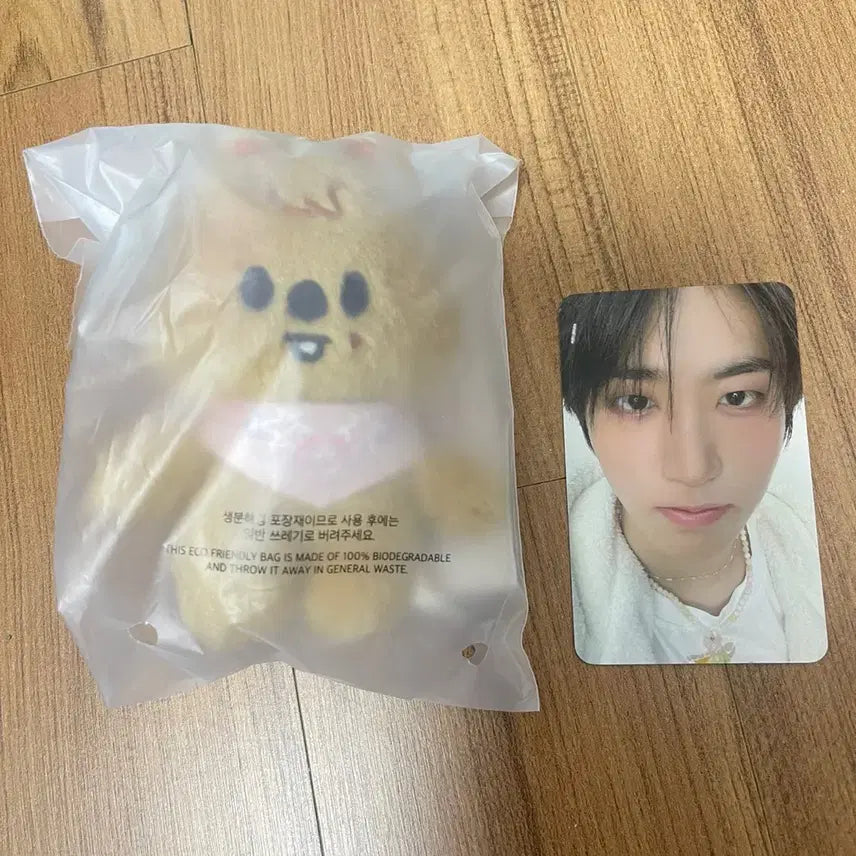 스키즈 콩키주 스키주 10cm 한쿼카 한 인형 포카 일괄