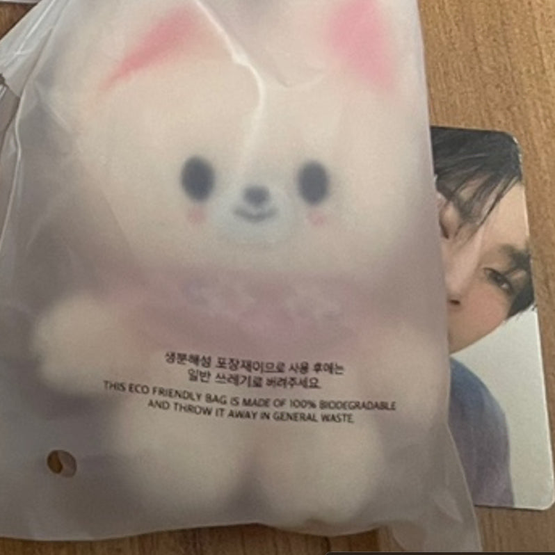 스키즈 콩키주 스키주 10cm 폭시니 아이엔 인형 포카 일괄