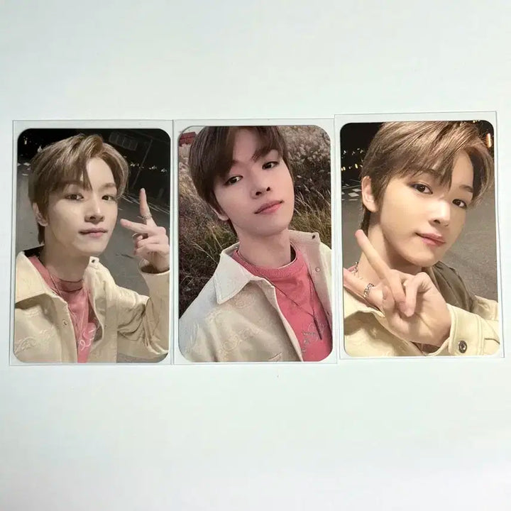 라이즈 성찬 NCT 메시마 포카 일괄 양도