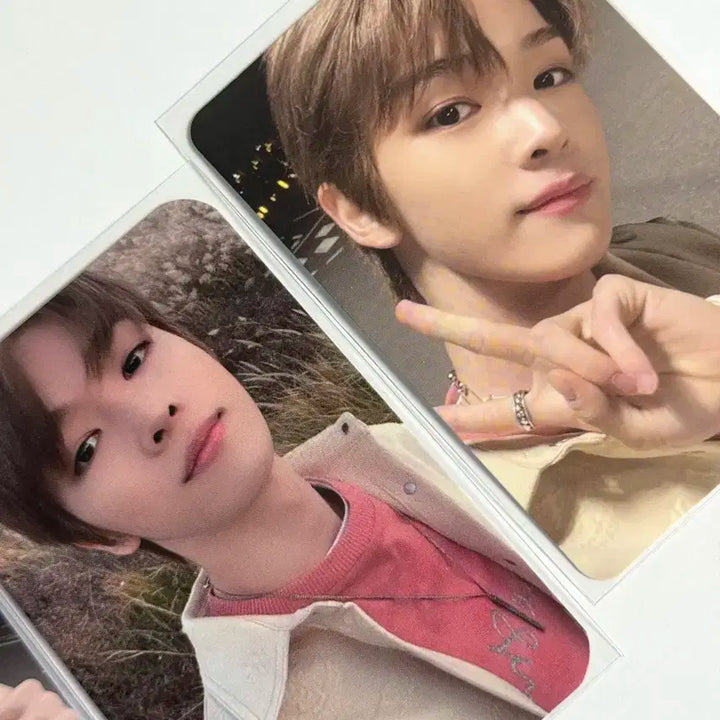 라이즈 성찬 NCT 메시마 포카 일괄 양도