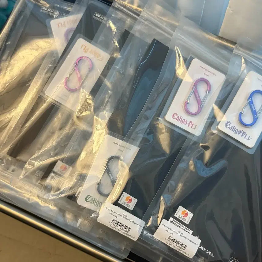 플레이브 퓨지티브 일괄