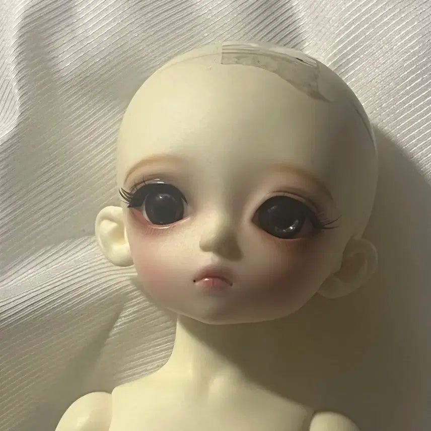 루츠 하니델프 마들렌 싸게 처분합니다