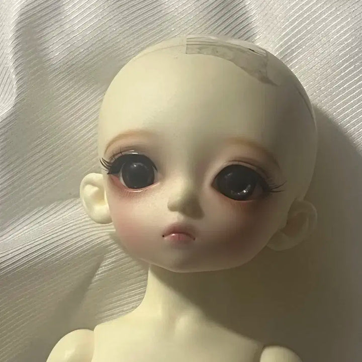 루츠 하니델프 마들렌 싸게 처분합니다