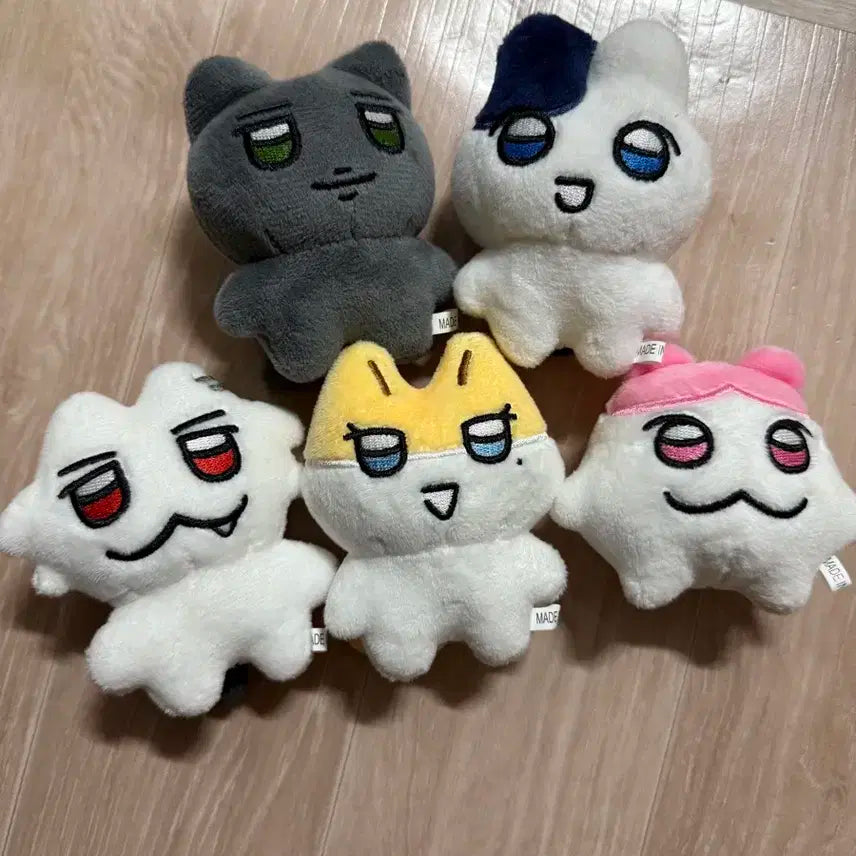 짱레이브 일괄