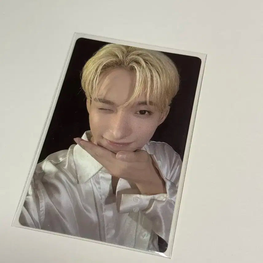 세븐틴 스필더필스 도겸 아궁빵 포카