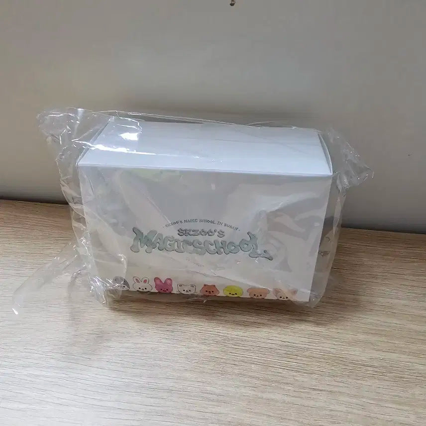 스트레이키즈 매직스쿨 부산팝업 MD 방수카메라