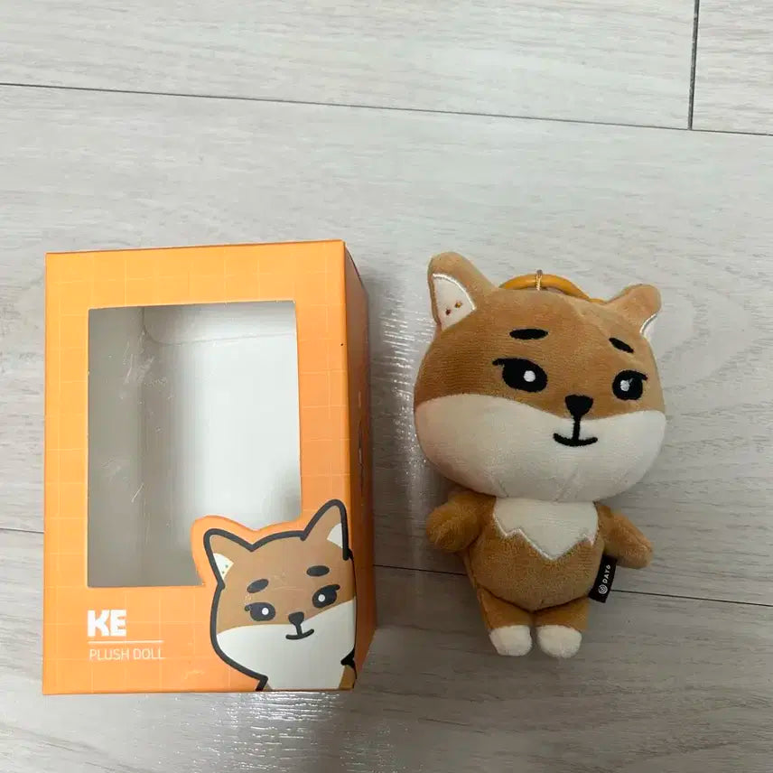 데이식스 데니멀즈 케 24