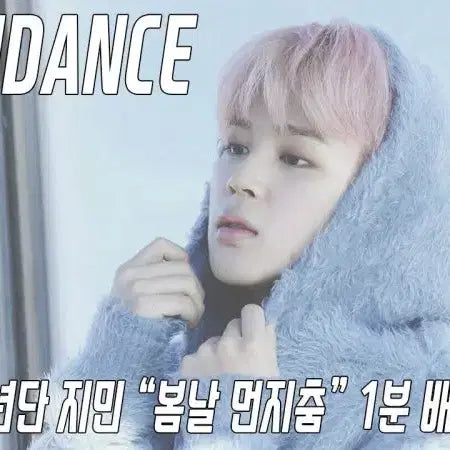 bts 인형(15센티)인형옷 봄날 지민이후드