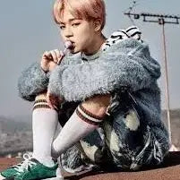 bts 인형(15센티)인형옷 봄날 지민이후드