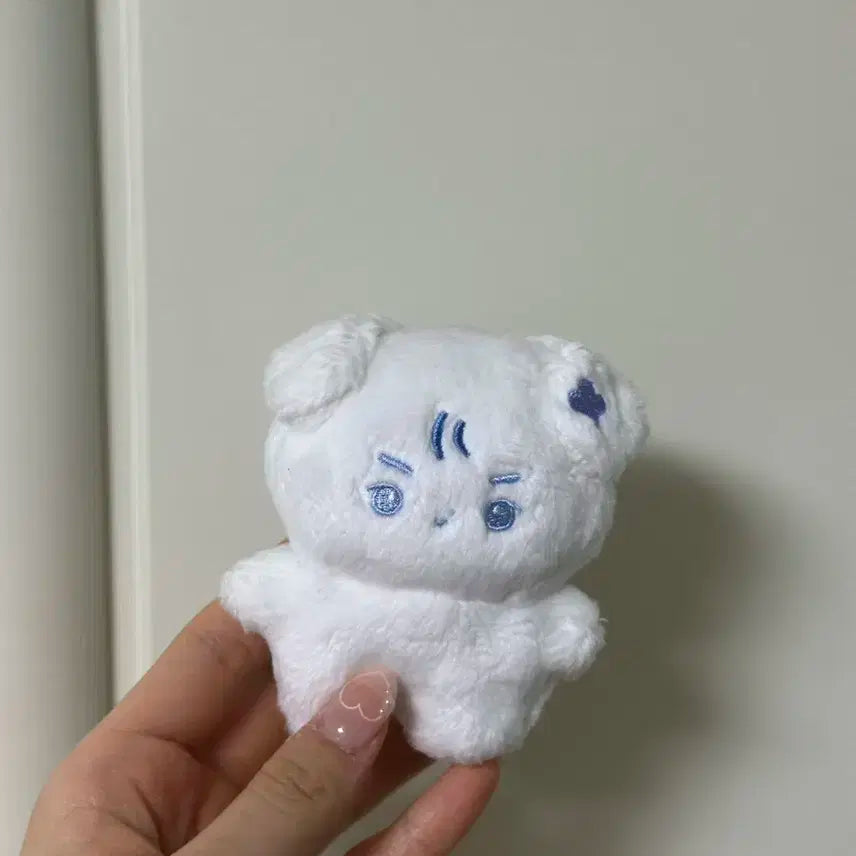 더보이즈 현재 인형 럭키뽀이즈