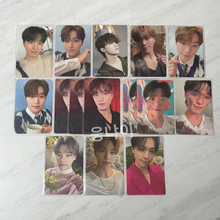 세븐틴 디노 포카 일괄 양도 판매