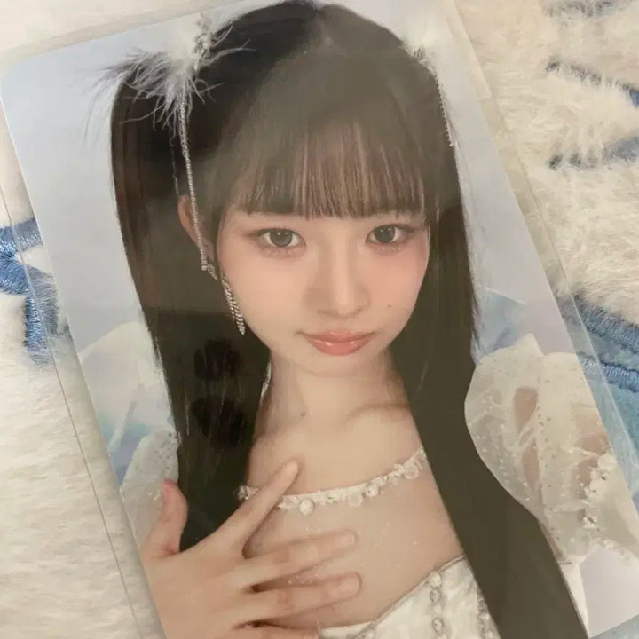 아이브 엠파시 레이포카 판매