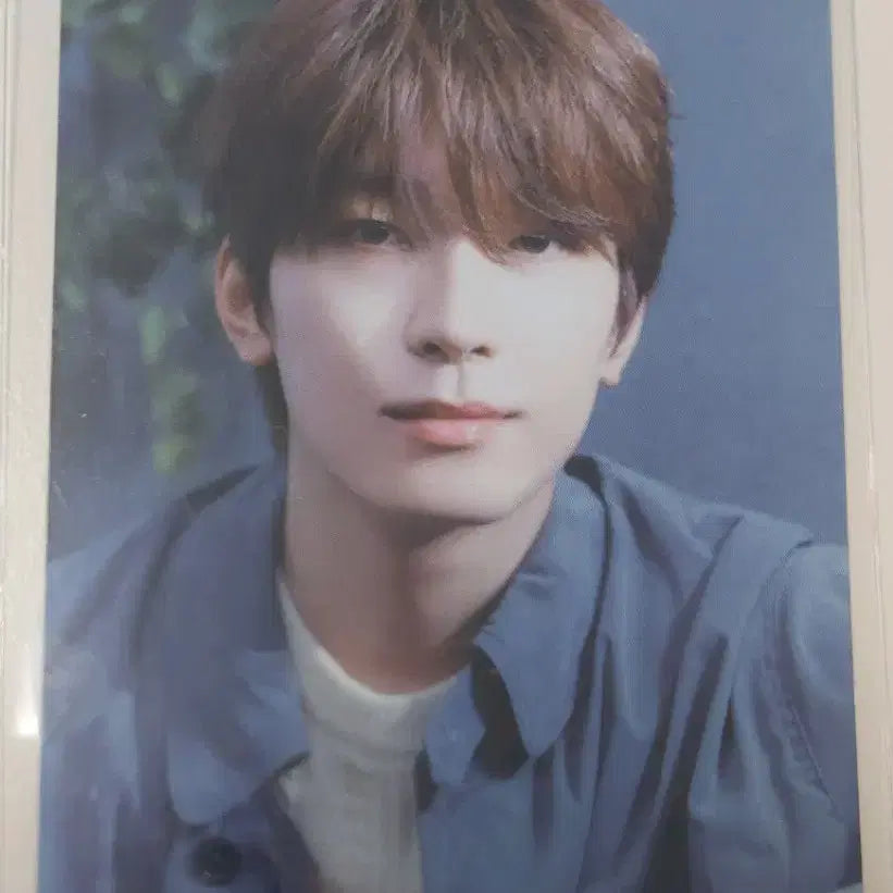세븐틴 원우 전원우 소비기한 b반 앨포 포카 양도