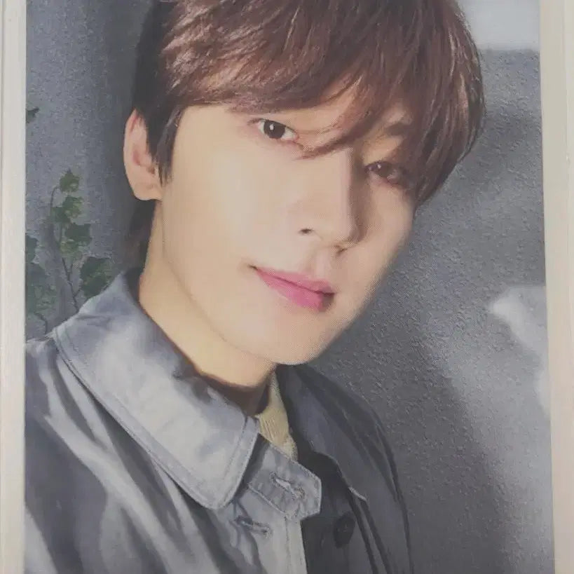 세븐틴 전원우 소비기한 스탠다드 standard 통상반 앨포 포카 양도