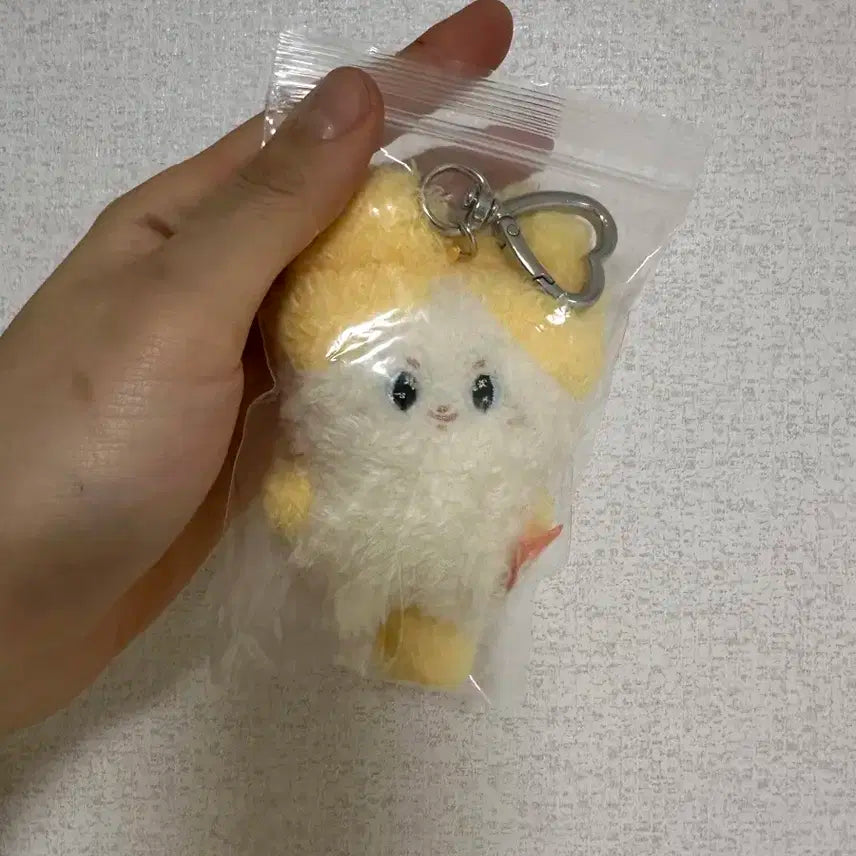 샤이니 태민 멤버십 키트 인형