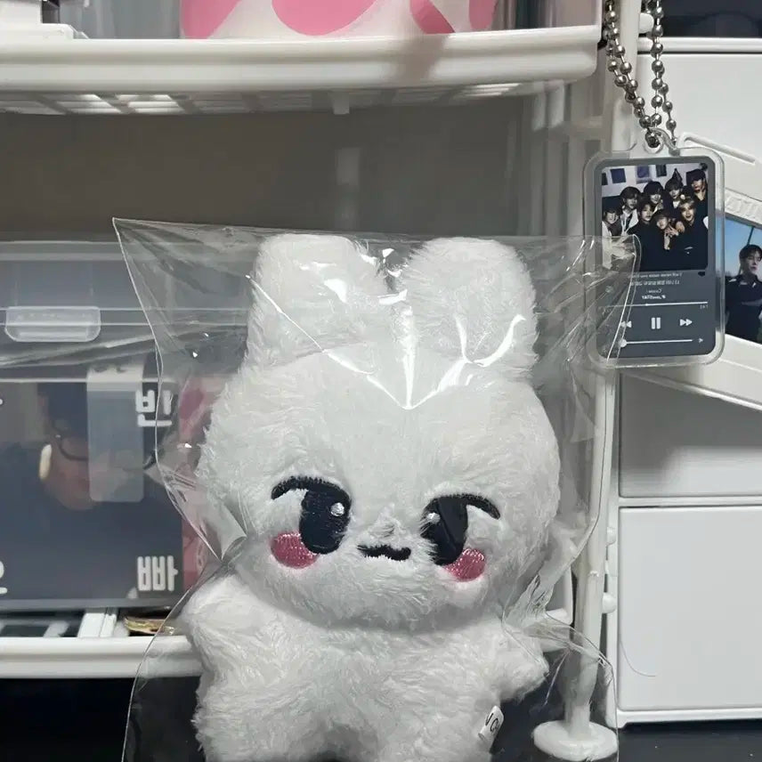 스트레이키즈 스키즈 리노 인형 뽀리 비공굿 10cm