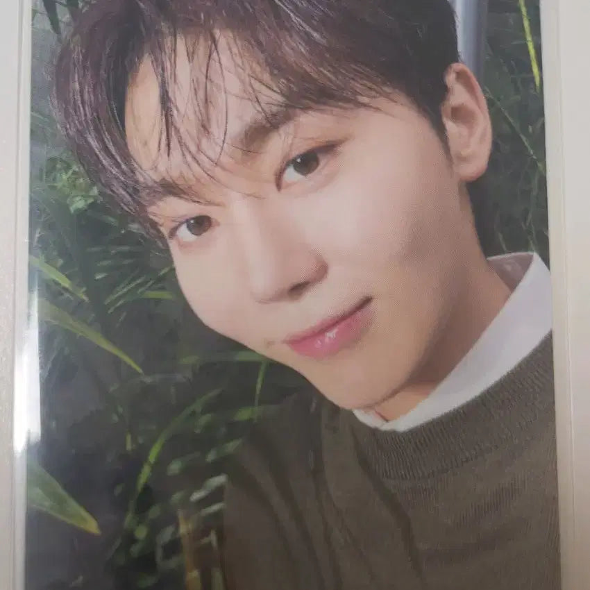 세븐틴 부승관 소비기한 b반 앨포 포카 양도