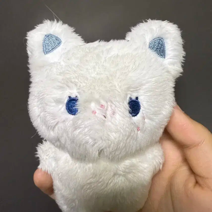 스트레이키즈 필릭스 입없뽁 뽁냥이