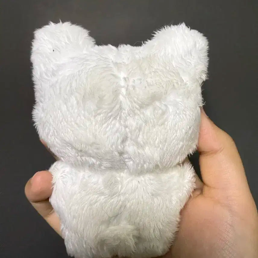 스트레이키즈 필릭스 입없뽁 뽁냥이