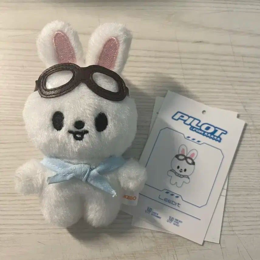 스키주 파일럿 리빗