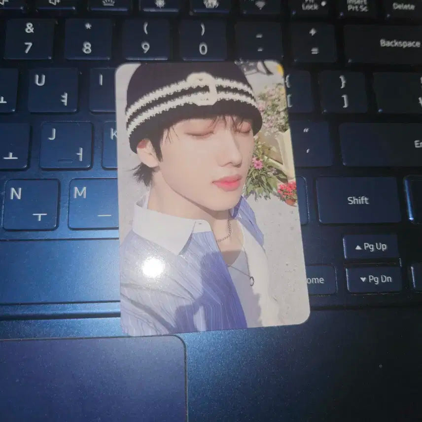 엔시티 드림 지성 드림스케이프 타겟 한정 포카