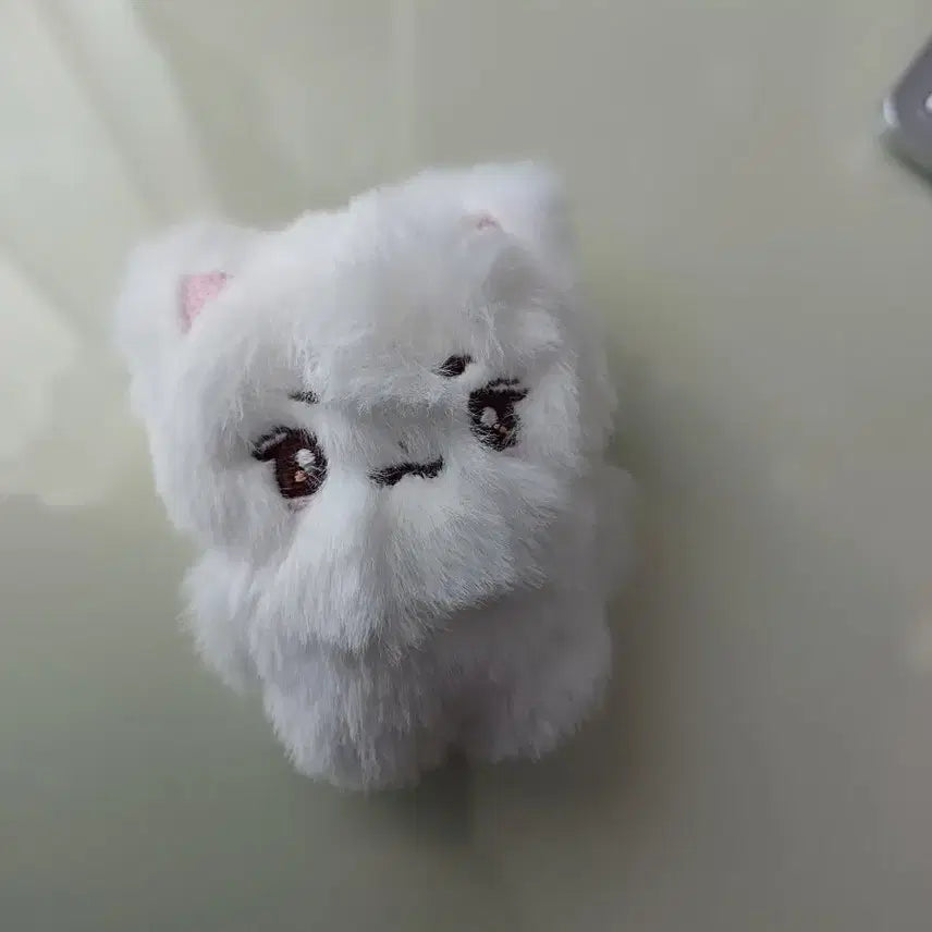 세븐틴 준 문준휘 인형 양도