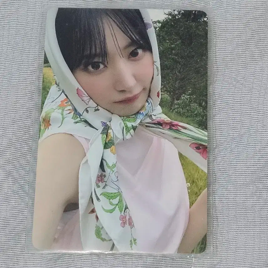 르세라핌 사쿠라 포카