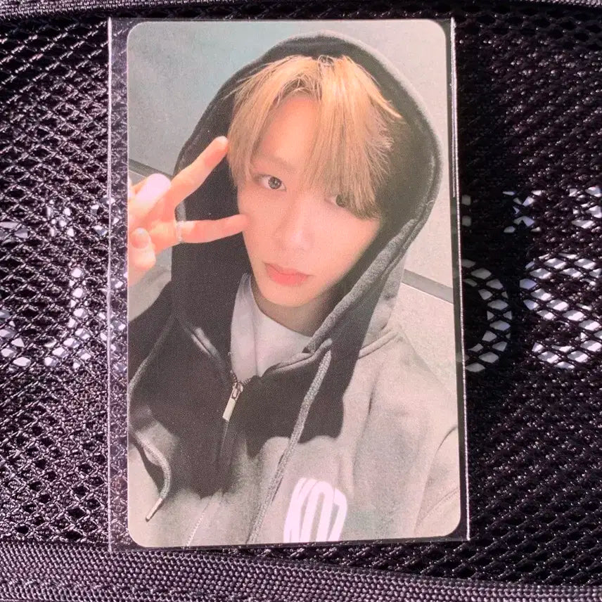 미개봉 ) 노장르 뮤직아트 럭드 태산