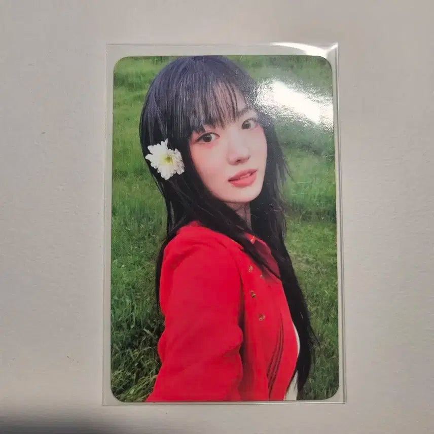 키키 앨포