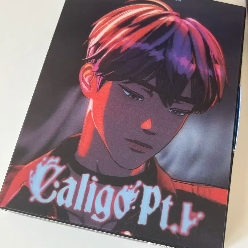 플레이브 예준 대쉬 칼리고 포카 일괄판매