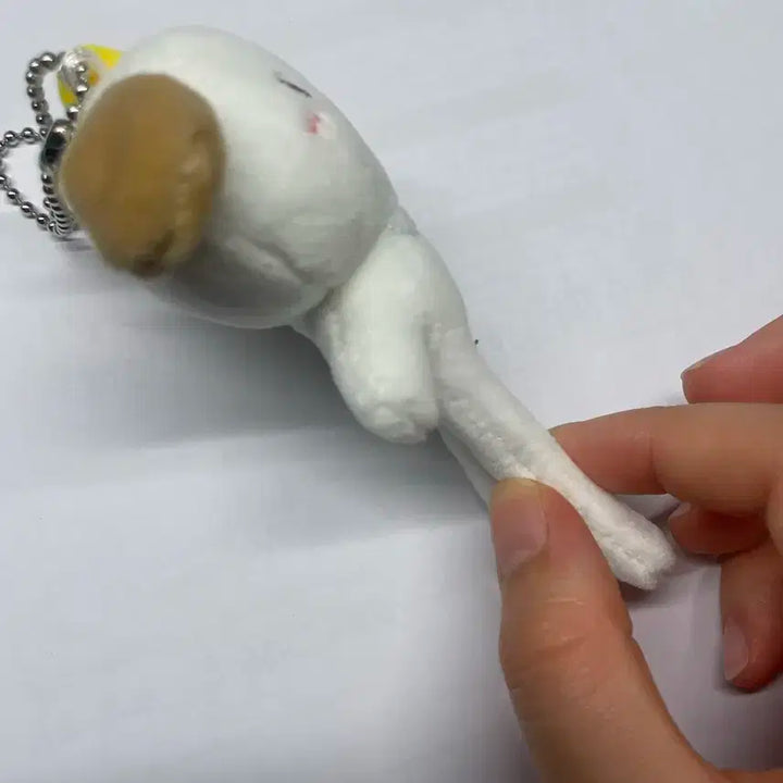 라이즈 인형 (멍룡이) 롱다리 팝니다