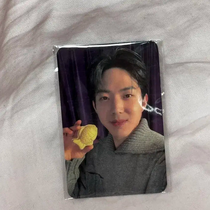 미개봉) 데이식스 도운 포에버 붕어빵 공방 포카