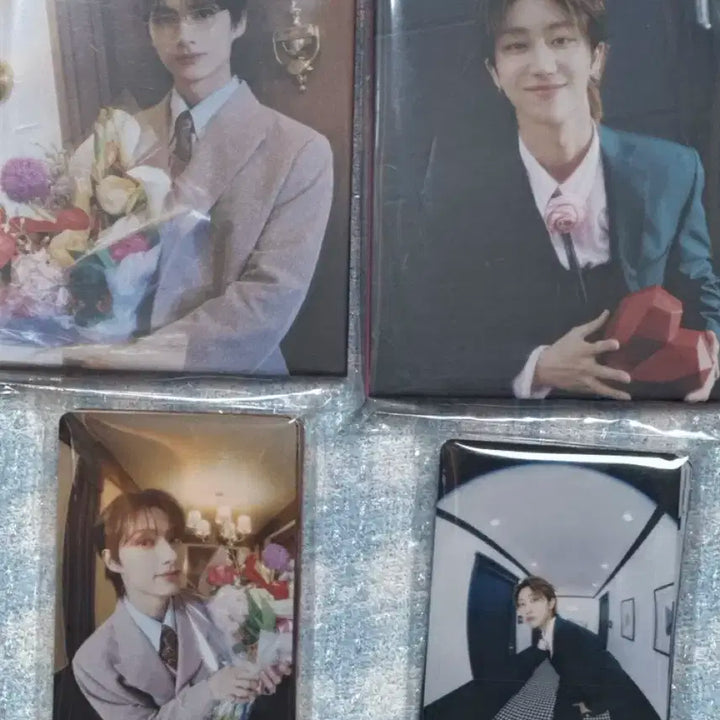 준,디에잇 캐럿반 바인더,포카