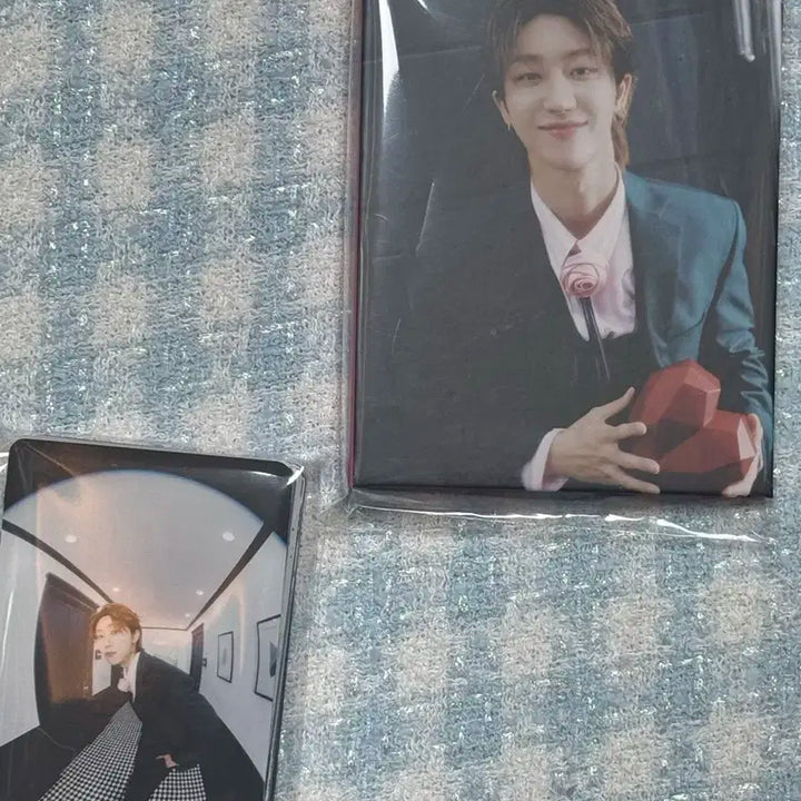 준,디에잇 캐럿반 바인더,포카