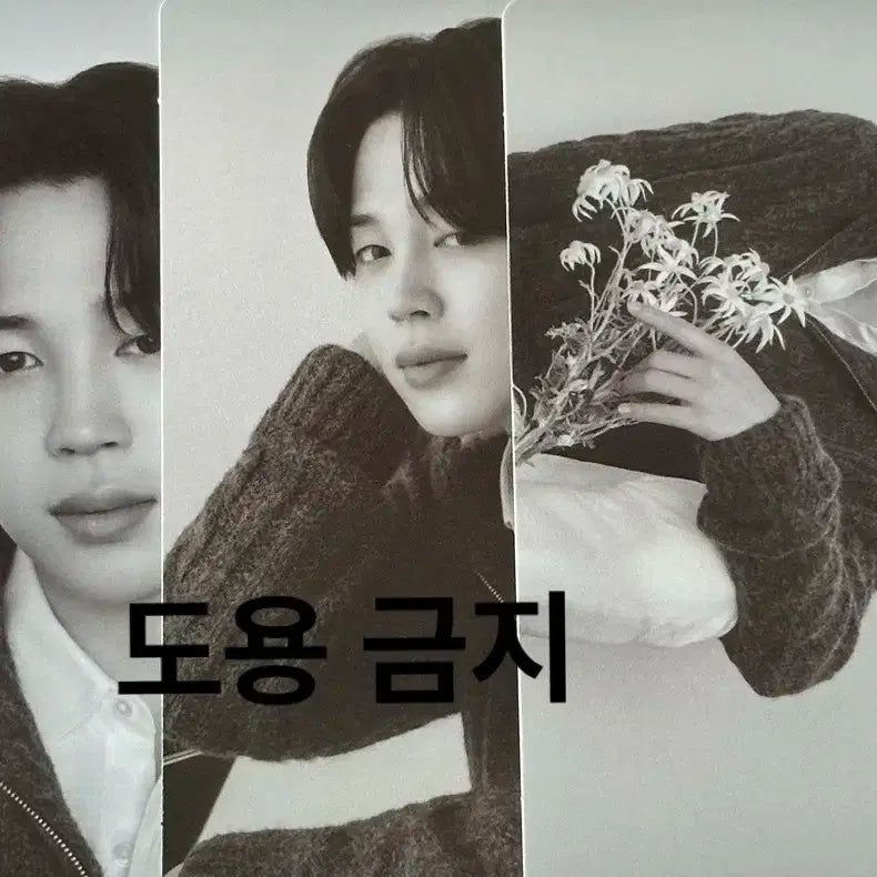BTS 방탄 지민 jimin 모노크롬 미니포카 3장 MONOCHROME