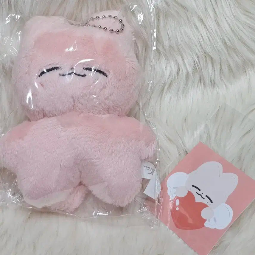nct재현 잰냥이 (미개봉) 양도