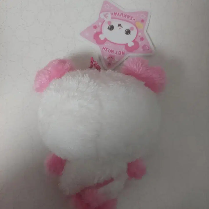 엔시티위시 엔위시 위시돌 사쿠야 팡이