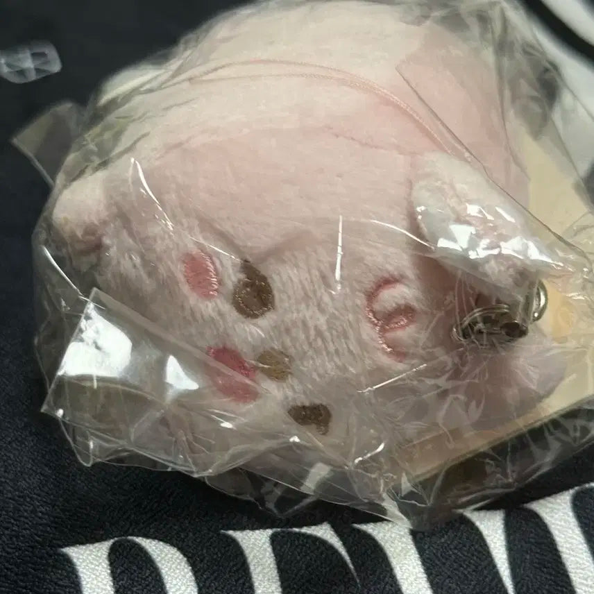 데이식스 데니멀즈 사족보행 필