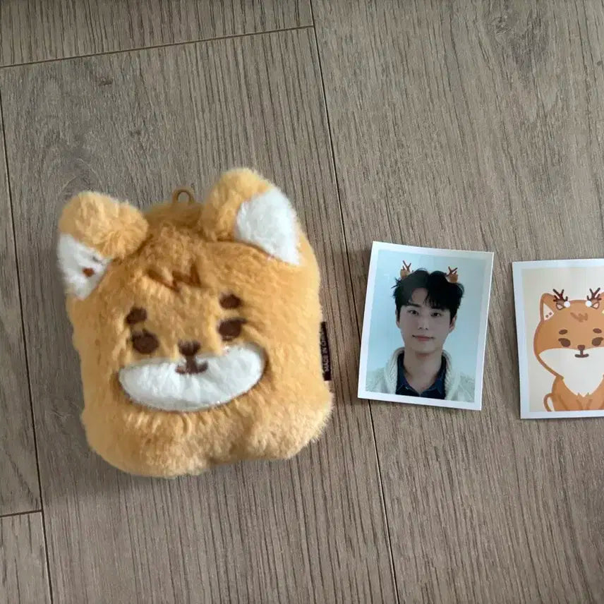 (일괄가격)데이식스 24클콘 포토홀더 + 아웃핏 케