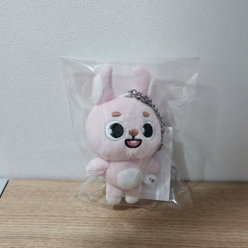 데이식스 데니멀즈 필끼 백참