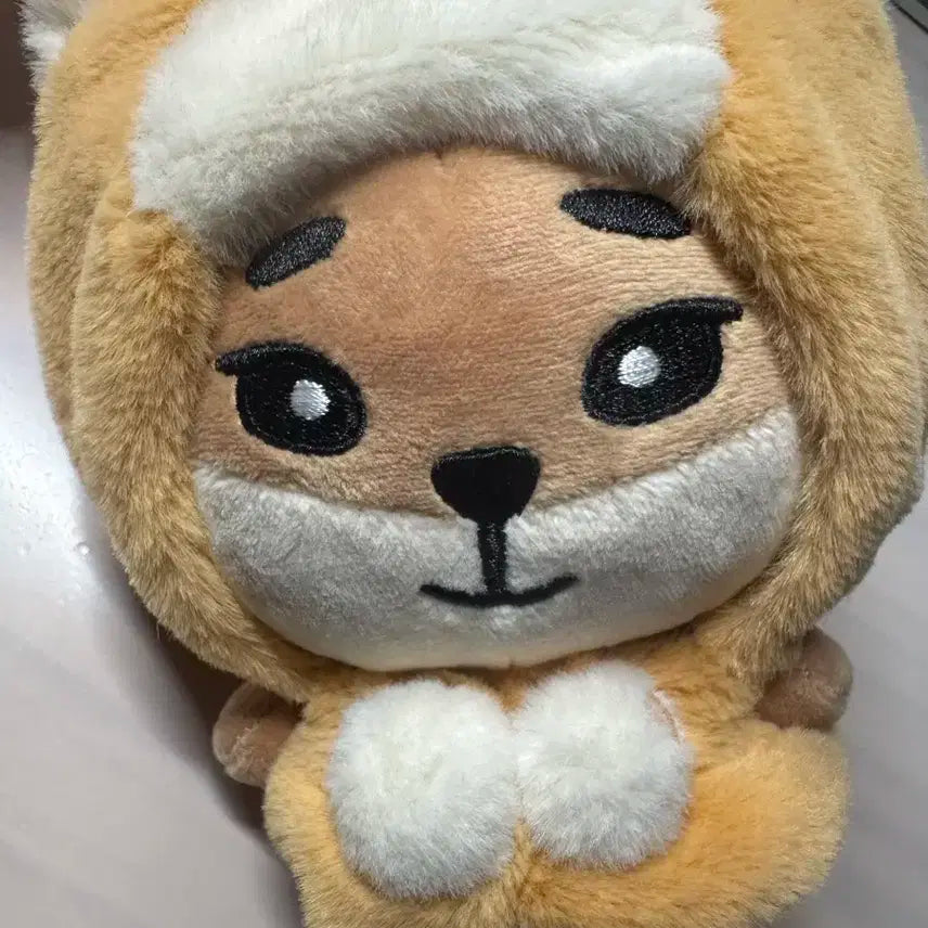 데이식스 데니멀즈 24 영케이 케 스케이프 망토